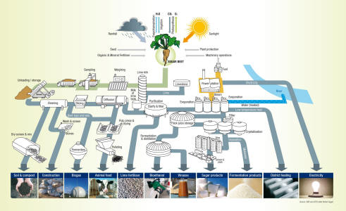http://www.comitesucre.org/site/wp-content/uploads/2012/08/sugarproduction.jpg